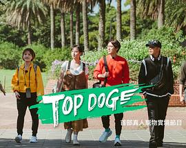 玩偶姐姐《TOP DOG》免费在线观看