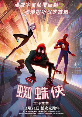 玩偶姐姐《蜘蛛侠：平行宇宙 Spider-Man: Into the Spider-Verse》免费在线观看