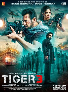 玩偶姐姐《猛虎3 Tiger 3》免费在线观看