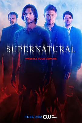 玩偶姐姐《邪恶力量 第十季 Supernatural Season 10》免费在线观看