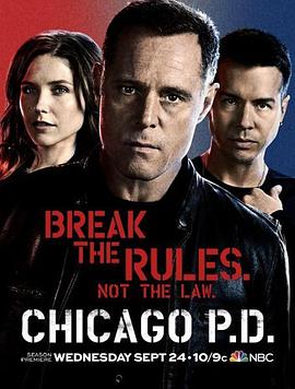 玩偶姐姐《芝加哥警署 第二季 Chicago P.D. Season 2》免费在线观看