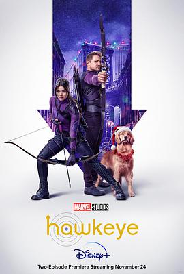 玩偶姐姐《鹰眼 Hawkeye》免费在线观看