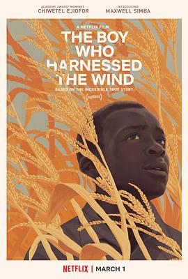 玩偶姐姐《驭风男孩 The Boy Who Harnessed the Wind》免费在线观看