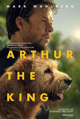 玩偶姐姐《冠军亚瑟 Arthur the King》免费在线观看