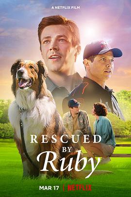 玩偶姐姐《义犬救主 Rescued by Ruby》免费在线观看