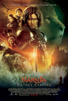 玩偶姐姐《纳尼亚传奇2：凯斯宾王子 The Chronicles of Narnia: Prince Caspian》免费在线观看