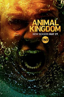 玩偶姐姐《野兽家族 第三季 Animal Kingdom Season 3》免费在线观看