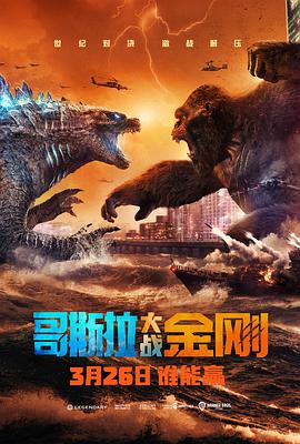 玩偶姐姐《哥斯拉大战金刚 Godzilla vs Kong》免费在线观看