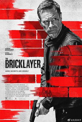 玩偶姐姐《谍影追凶 The Bricklayer》免费在线观看